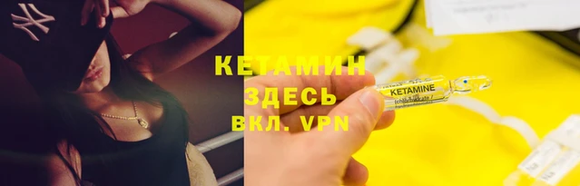 дживик Щигры