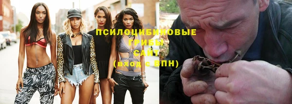 а пвп мука Шадринск
