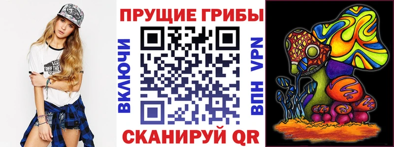 наркота  Мариинск  Галлюциногенные грибы ЛСД 