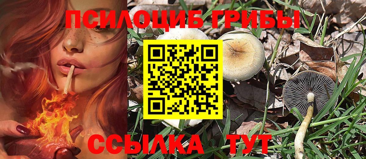 продажа наркотиков  Мариинск  Галлюциногенные грибы Cubensis 